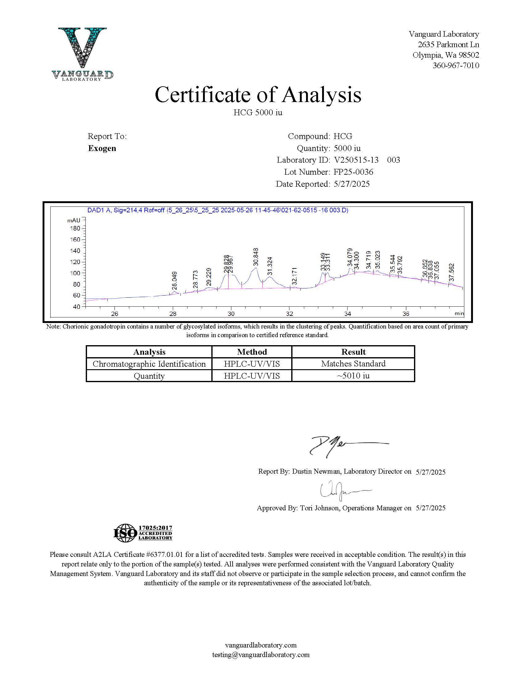 HCG - Image 2
